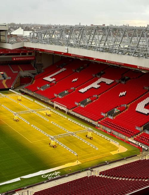 大家好，我是冷刺孙兴憨本人！（嗨，冷刺孙兴憨在此！）